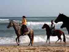 Tunisia-Tunisia-Monastir Star Rides